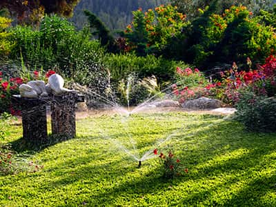Panama City Beach Lawn & irrigation hero image