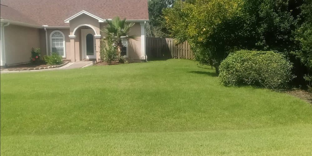 A well-maintained lawn with lush green grass surrounds a suburban house, with bushes and trees providing additional greenery and shade.